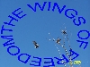 wings.JPG (95705 bytes)